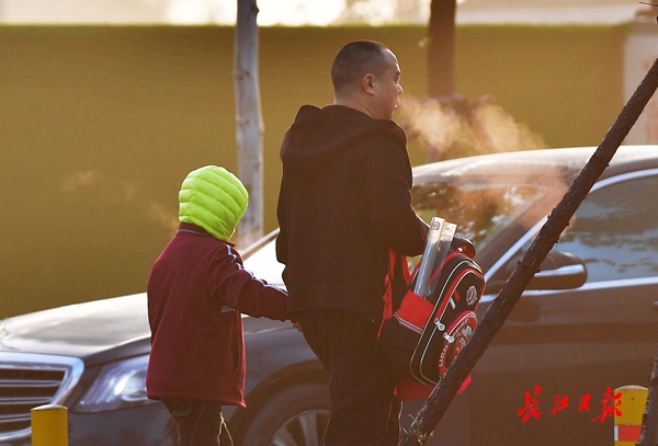 东湖水杉林武汉最美的秋色,航拍武汉风景