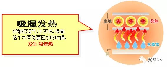 裤袜秋款中厚棉,加绒加厚裤袜女冬季600克厚木