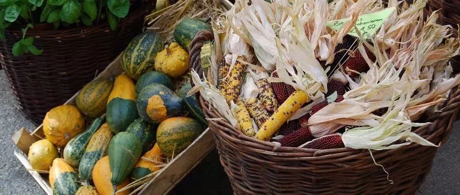 今日小雪清风一念落雪为安,今日小雪静待美好