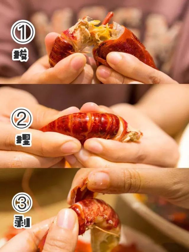 鍐槾鍔熸嘲寮忓皬榫欒櫨,闆嗘笖鍐槾鍔熷皬榫欒櫨鑷姪