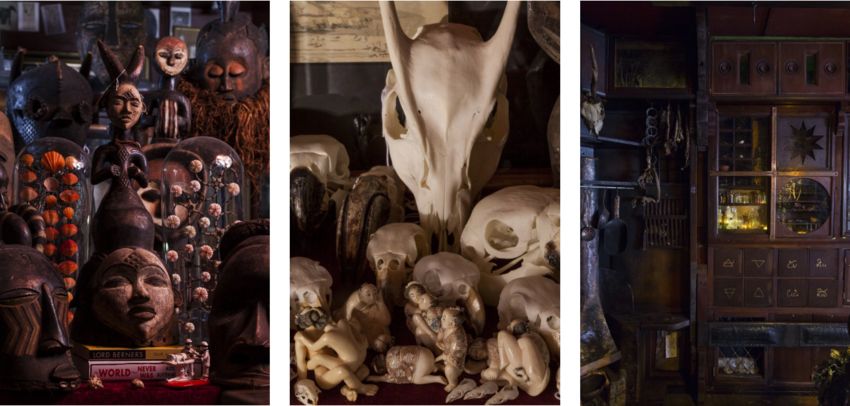 打开疯狂搜藏家的珍奇柜