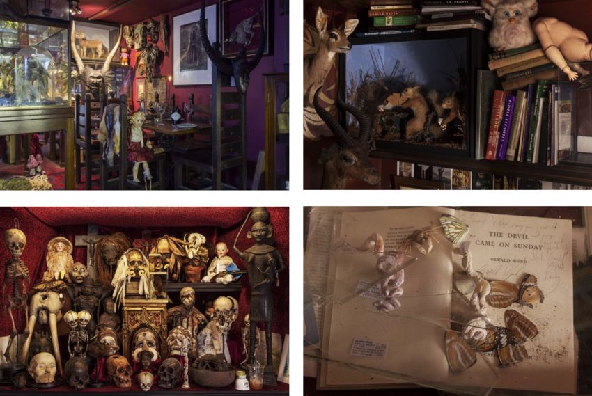 打开疯狂搜藏家的珍奇柜