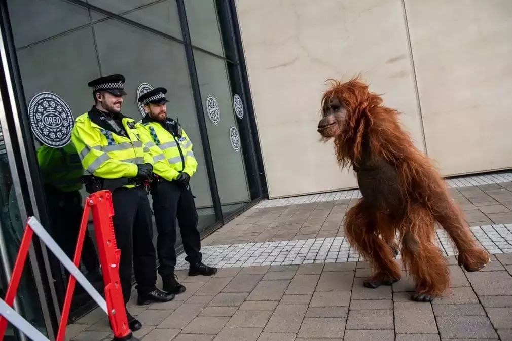 湖北景区下雪了,湖北周边哪里看雪景