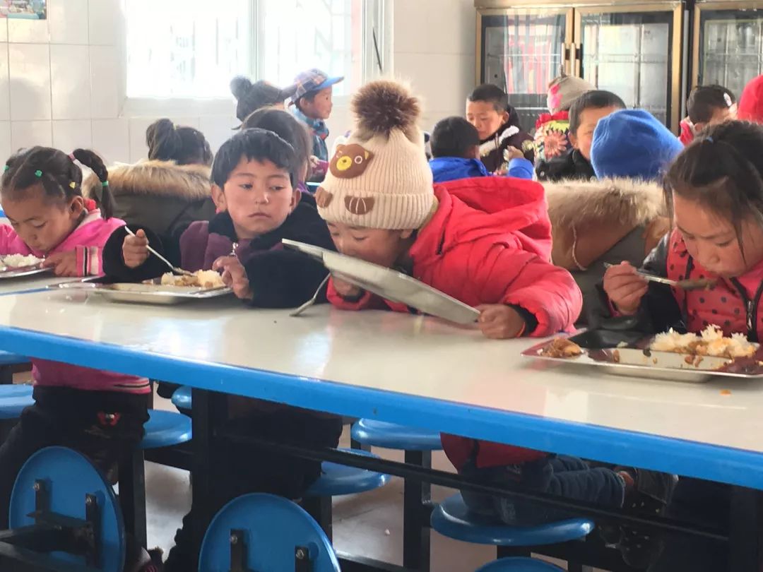 东西协作项目,东西协作成功