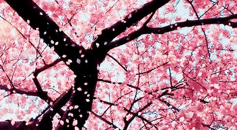 春风十里,不如这8条专享优惠!约惠“女神节”,开启宠爱之旅!