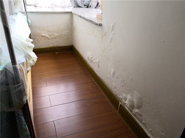 嘉宝莉抗盐硝1号味道大,嘉宝莉抗盐硝1号产品介绍