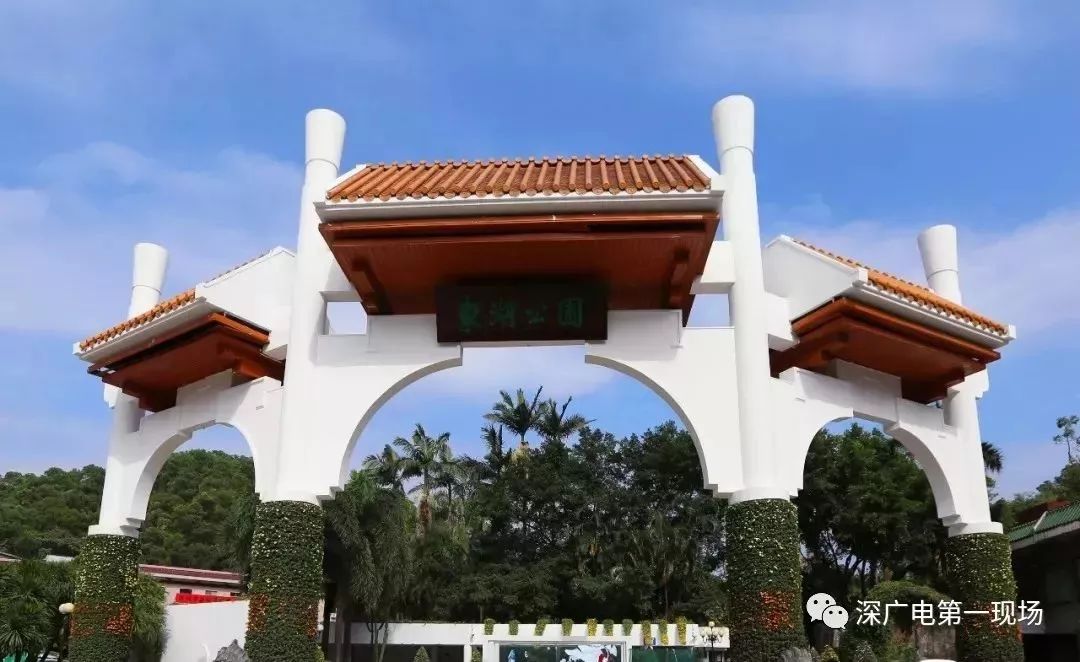 深圳东湖公园菊花展结束,深圳东湖公园菊花展延期