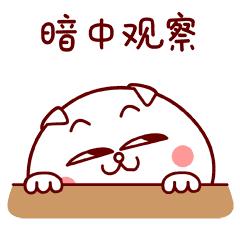 广东省肇庆市的三甲医院大全,肇庆三甲级医院有哪些