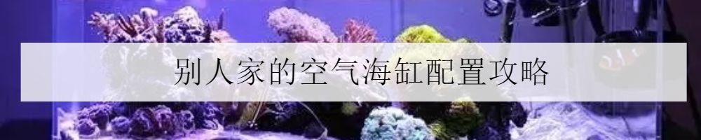 海缸攻略,所有人的终极目标