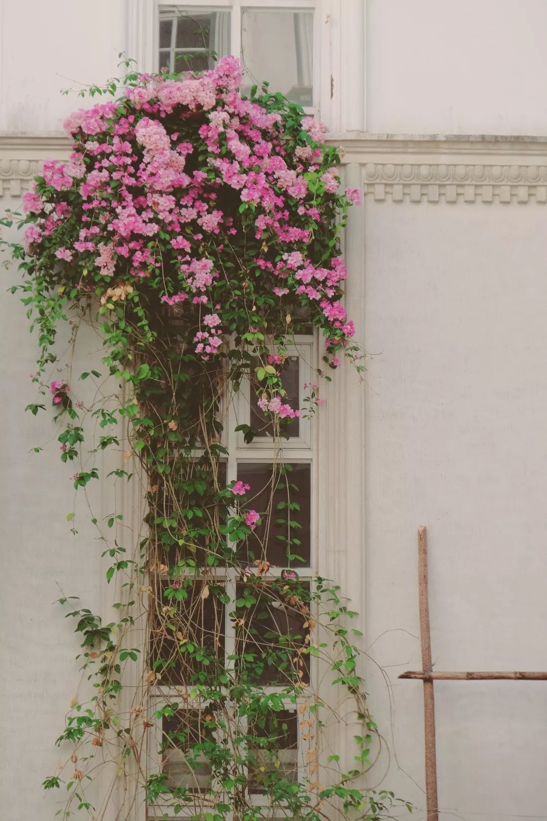 哪里有专业的瑜伽学校,国内最大瑜伽培训学院