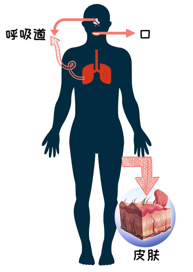 妥善存放和正确使用农药等有毒物品，谨防儿童接触
