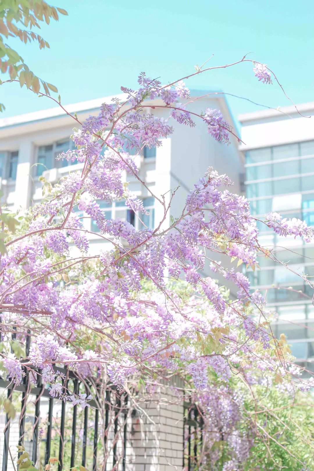 当男人学会了p图教程,p图你一看就会的神操作