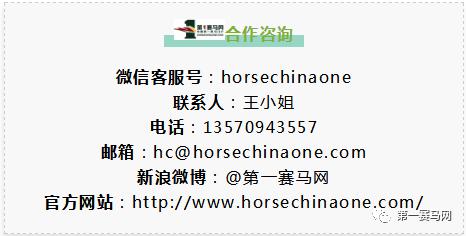 国际马术大师赛浪琴表,国际骑师香港锦标赛