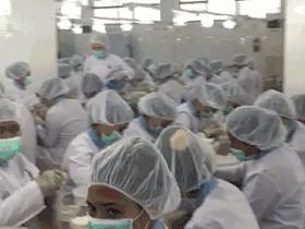 逆天了，燕窝免费送！非一般的燕窝，带你秒飞马来西亚……