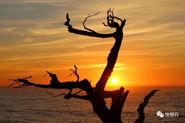 当我一个人来到旧金山,再见旧金山