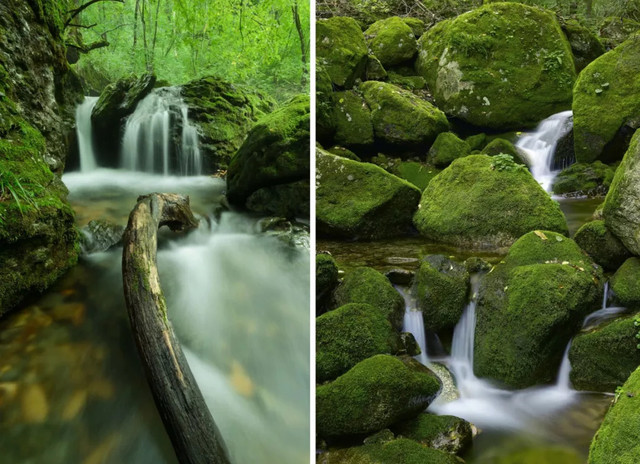 十一不能出去看风景,十一出去看世界
