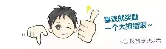 即刻出发旅游怎么样,康县自由行攻略