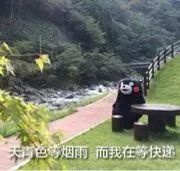 海淘怎么看需不需要税,海淘被税的概率