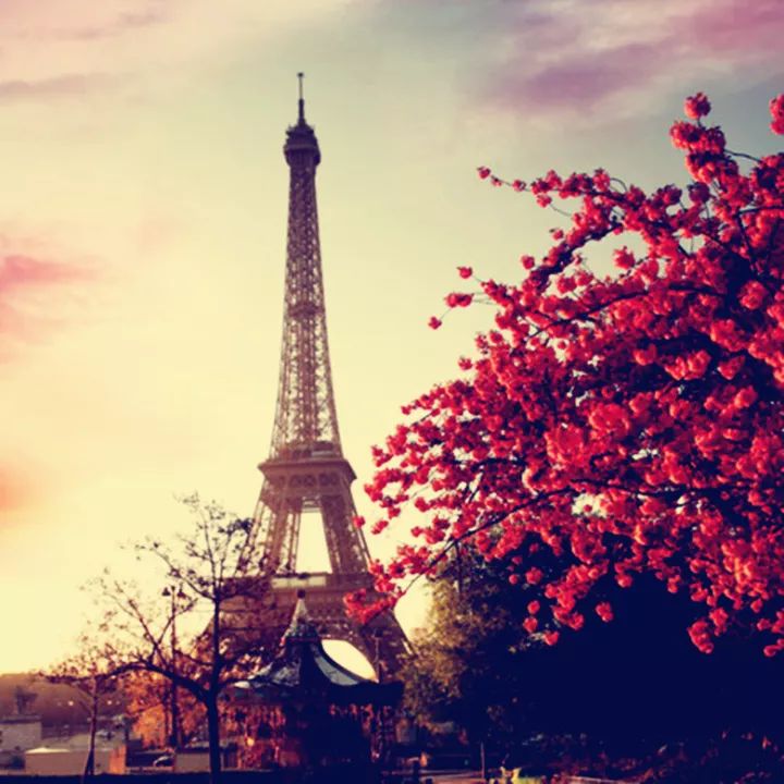 angelababy3岁到30岁,angelababy是否自己生娃