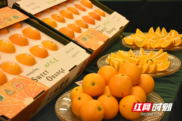 橙意满满橙子采摘,橙意满满蜜雪冰城