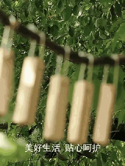 变态的日本人家居必备产品，不到两元钱就可以告别衣物发霉和蚊虫！可以用一辈子！