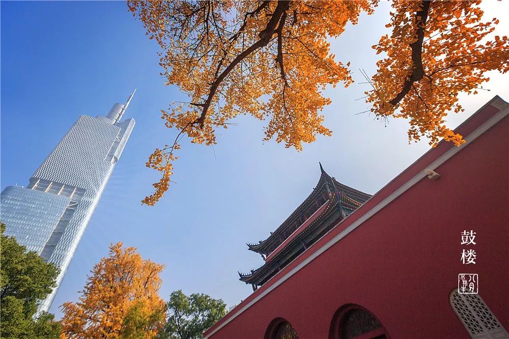 鼓楼70岁的老人免费吗,鼓楼60岁以上老人免票吗