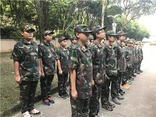 东莞报业夏令营,东莞雏鹰少年夏令营多少钱