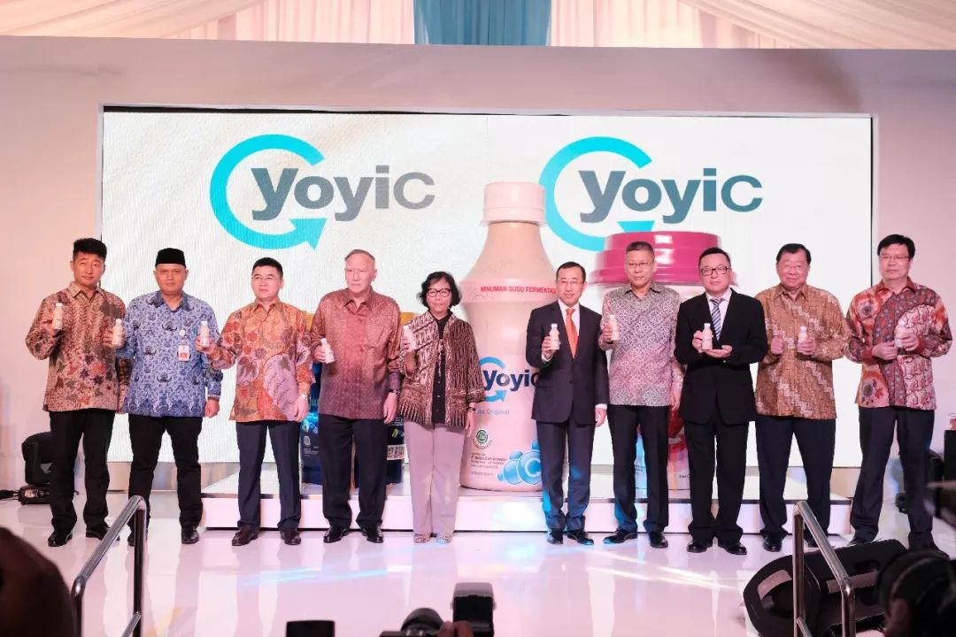 超市里都会有的牛奶有哪些,超市里都有哪些牛奶