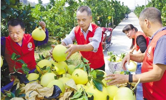 浙报聚焦洪塘美丽城镇建设,玉环新时代美丽乡村建设