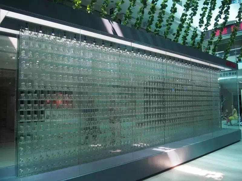 2018“广东好医生”有东莞的这位“结石王”，他建了个博物馆，珍藏了2300+份人体结石！