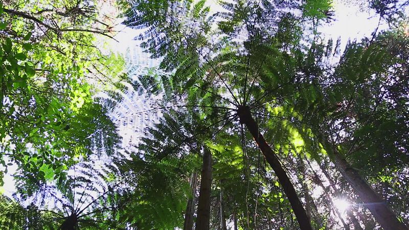 蒙自的城市风光,蒙自最美风光