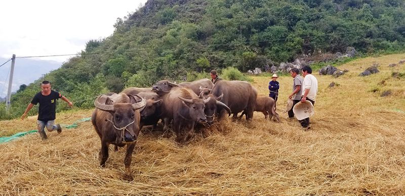 蒙自的城市风光,蒙自最美风光