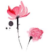 璁插ソ灞变笢鏁呬簨鑰佷竵,璁插ソ灞变笢鏁呬簨绀句細缁勫畬鏁寸増