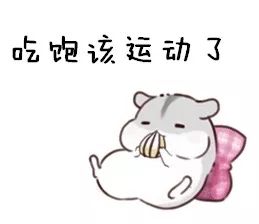 广马交通管制,广马几点钟开跑