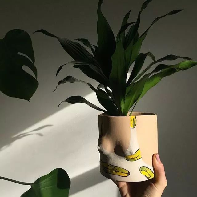 家居必备10款好物,10款过年必备的居家好物