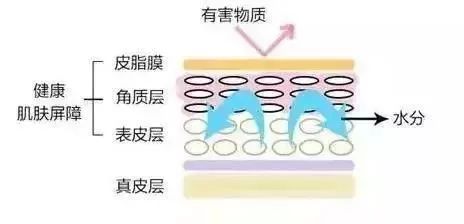 功效型面膜到底有用吗,各种功效的面膜到底有没有用