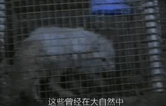 豆瓣9.1这部剧全程高能,豆瓣9.8分以上的电影悬疑中国