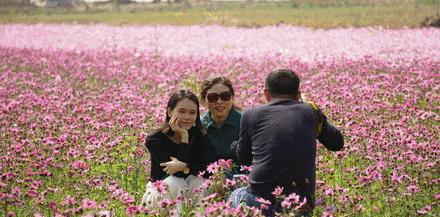 导游介绍地方,斗门区导游