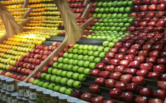 6种健康警戒线,16条健康警戒线图