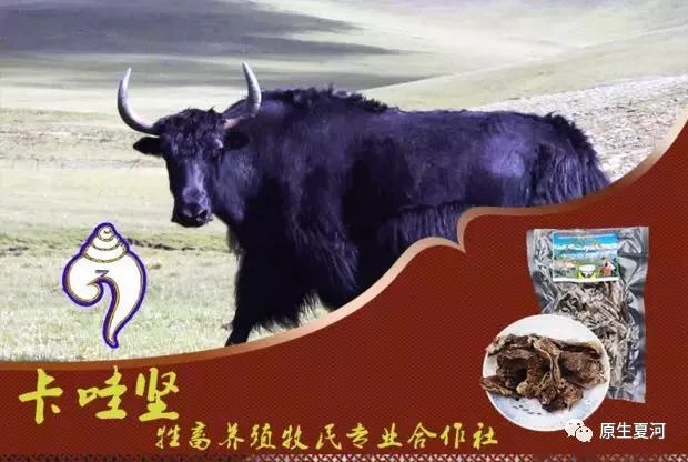 夏河县电商中心线下选购有优惠，仅限双12期间