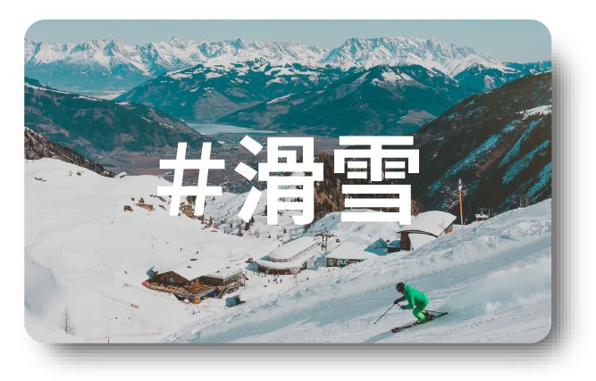 为什么我们总是不能好好相处,为什么我们都选择出国