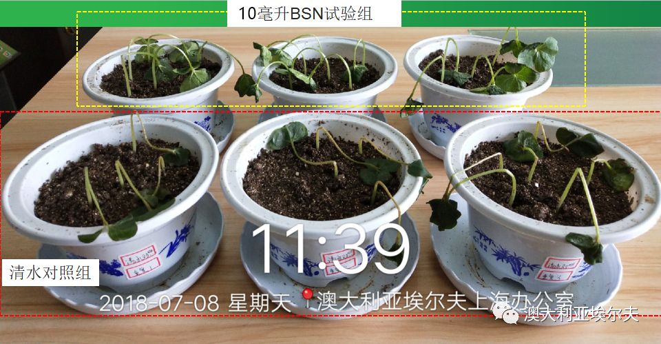 霍博士钙镁肥,霍博士拌种肥用法用量