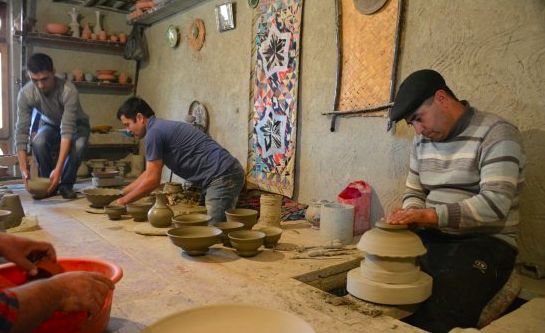 2019年，你应该去亚寒带看看