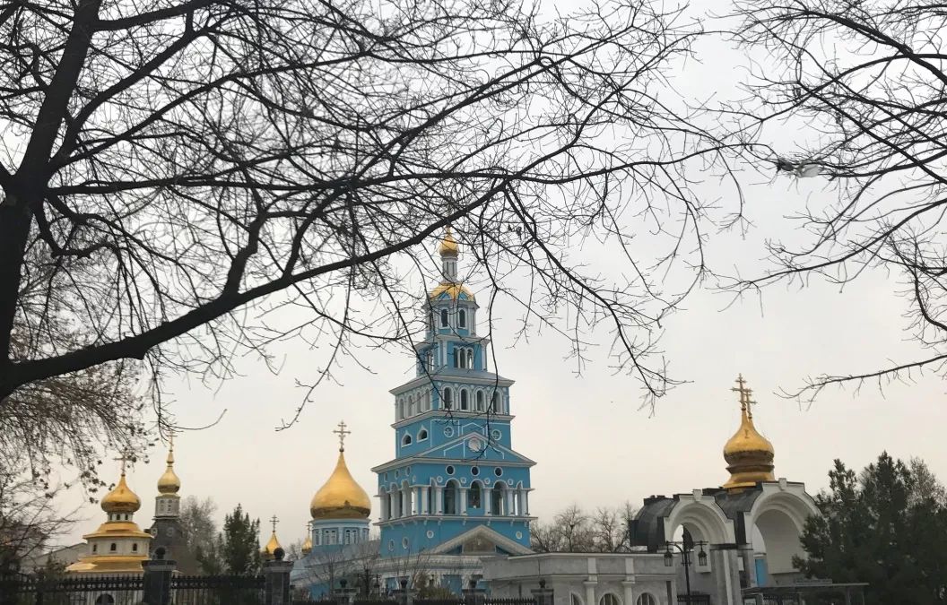 2019年，你应该去亚寒带看看