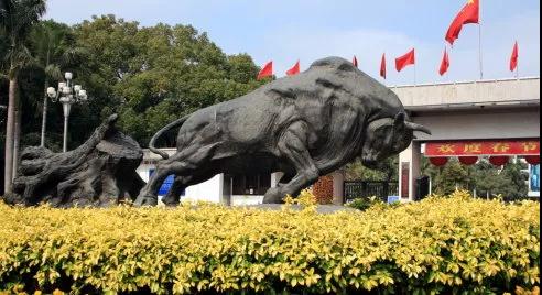 深圳制造行业,深圳制造行业工作