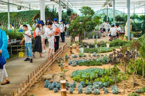 昌盛日电太阳能科技有限公司,昌盛日电排名