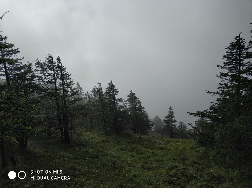 一次不完整的鳌太随行装备点评