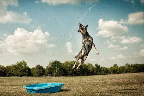 西安办理澳洲旅游签证,儿童怎么办理澳洲旅游签证