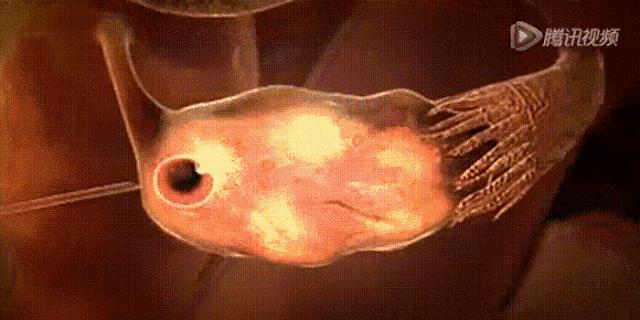 异地恋、姐弟恋陆续见光死,女人如何掌舵成为幸福操盘手?