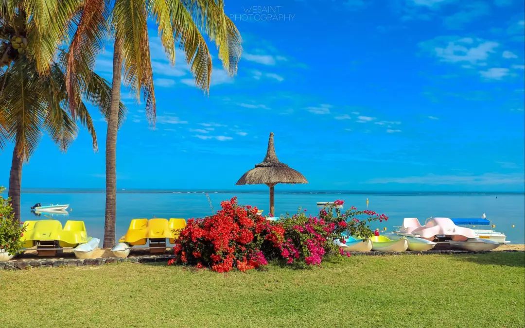 冬天去哪里吃美食好玩一点,冬天又温暖又有很多美食的地方